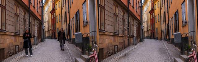 Apple's Clean Up Tool Can Fix Distractions in Your Photos