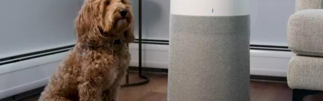 Save Nearly 50% on a Blueair Air Purifier So You Can Breathe in Your Dog-Filled Home Once Again