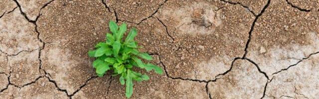 DeFi’s shakeout is a stress test, not a death sentence