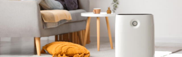 Do Cheap Air Purifiers Work? What You Should Check Before Buying