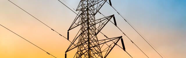 What Are Those Weights On Power Lines For?