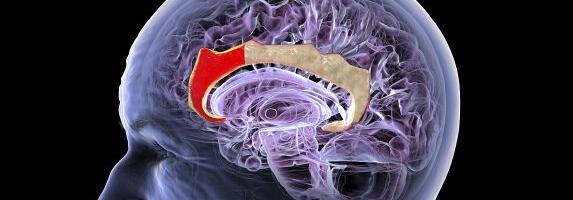 This Chinese Startup Wants to Build a New Brain-Computer Interface—No Implant Required