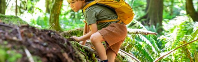 A psychologist explains why adaptable kids will outpace straight-A students in the AI era