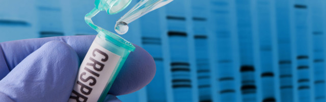 Mammoth Biosciences lands exclusive license to new CRISPR proteins that could boost gene editing precision