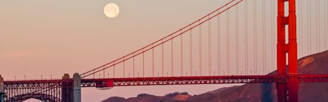 Battle of Titans: Startup Accelerator Showdown