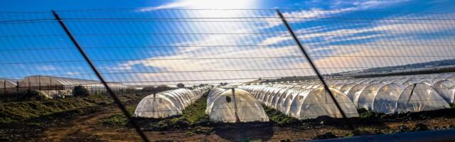 Should farm fields be used for crops or solar? Why both could be the best solution