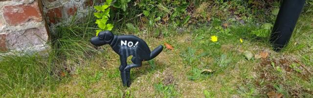 Internet ads firm’s CEO proclaims he would “eat dog poop if it means winning” — guess what he expects from new recruits Internet ads firm’s CEO proclaims he would “eat dog poop if it means winning” — guess what he expects from new recruits