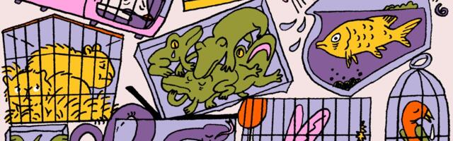 The case against owning small pets