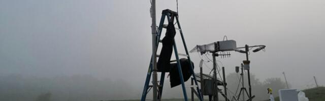 Fog Is Teeming With Life—But What It Eats Is the Weird Part