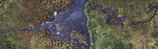 London’s carbon data provider Sylvera raises $57 million in Series B round, plans US expansion