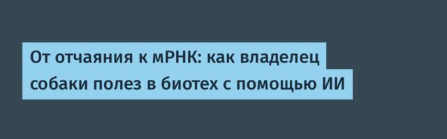 От отчаяния к мРНК: как владелец собаки полез в биотех с помощью ИИ