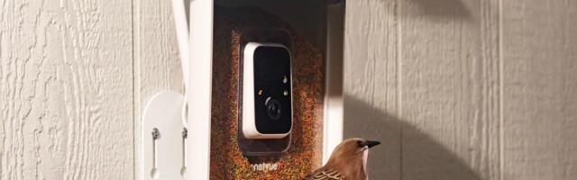Birdfy’s solar-powered smart feeder is down to one of its best prices
