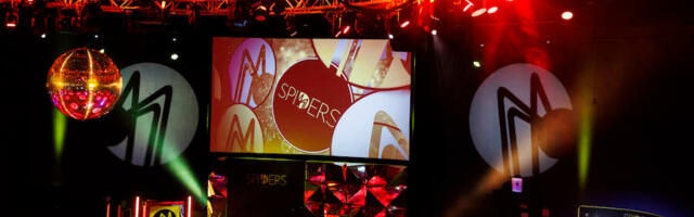 Tayto, Failte Ireland and An Post join giant web of winners at this years Spider Awards