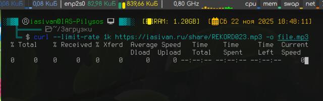 Как скачать файл по HTTPS/HTTP с произвольным ограничением скорости