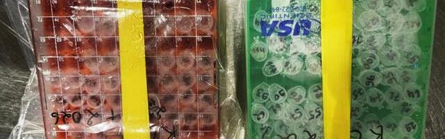 Feds Charge 2 NIH Scientists With ‘Conspiracy to Smuggle’ Deadly Virus