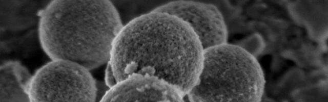 Mesosil secures $2.2 million to develop infection-fighting biomaterials for medical devices