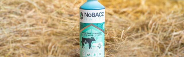 Cambridge spinout NoBACZ bags £4.8M to scale sustainable wound-care tech for animals