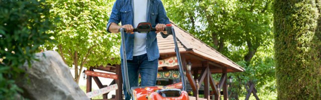 What Is The 1/3 Rule For Mowing?