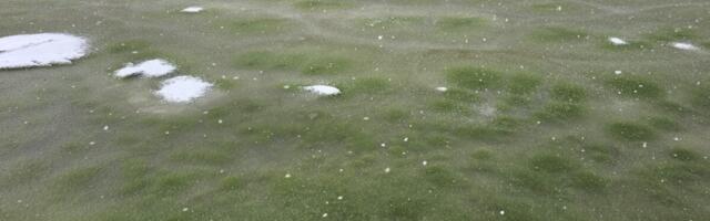 Whoa, Why Has This Frozen Lake Turned Green?