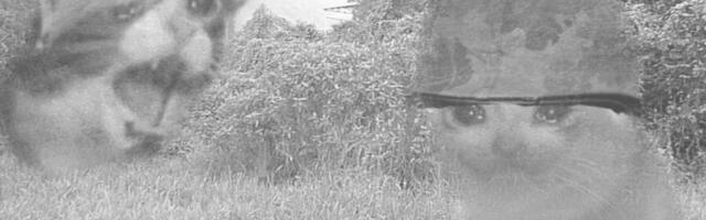 Ребрендинг глазами разработчика: как мы переходили к единому кластеру «КИОН»