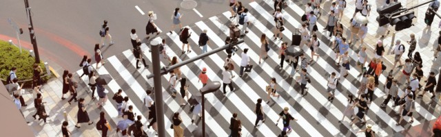 What do VC investors want to see from smart city startups?