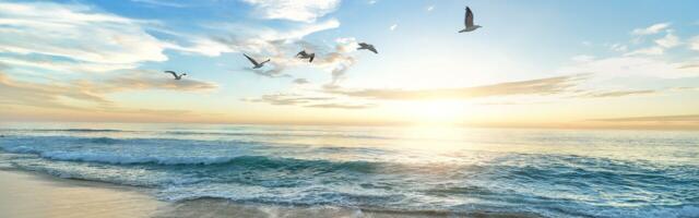 Esri maps out routes as migratory birds return to Ireland