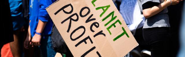 Canada Pension and Mombak’s $100 Million Amazon Reforestation Revolution