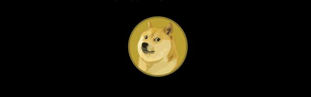 U.S. DOGE Sports Dogecoin Logo After Announcement at Trump Inauguration