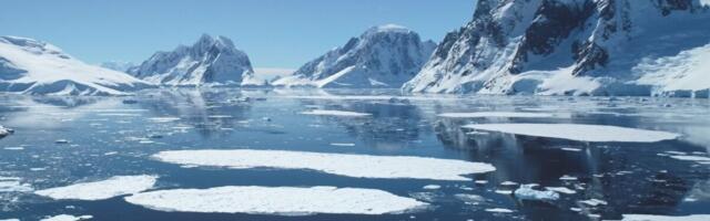 ‘This Is Absolutely Crazy’: Antarctic Temperatures Hit a Record High This Month