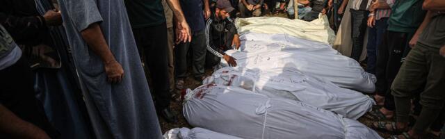 The death toll from Gaza, explained