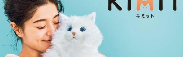 Sega Toys recalls cat robots in Japan — burning smell complaints also lead to sales suspension