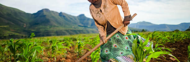 Fintech Ecosystem in the African Nation of Lesotho in 2026