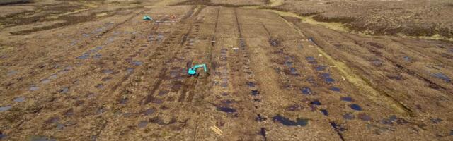 €600k Peatlands restoration scheme launched in Wicklow