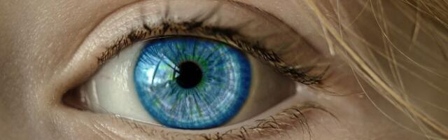 Neuron-sized brain implant could help blind people see again