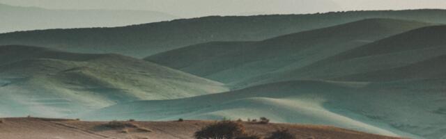 The Atacama Desert in Chile has regions where no rainfall has ever been recorded in human history, yet a fog called camanchaca rolls in from the Pacific and feeds lichen colonies that exist nowhere else on Earth