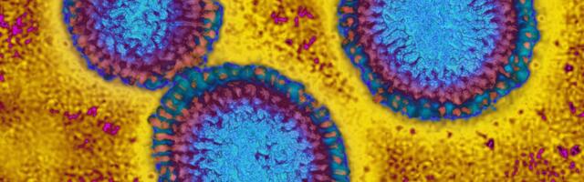 This flu season looks grim as H3N2 emerges with mutations