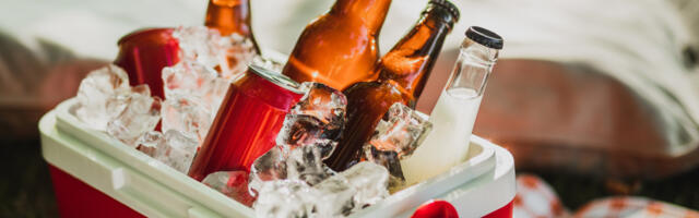 Airless Vs. Foam-Insulated Coolers: Which One Holds Temperature Longer?