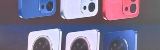 Oppo F31 trio appears in first leaked images