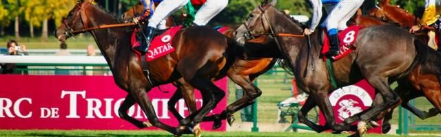 Manchester man arrested over allegations of fixing horse races