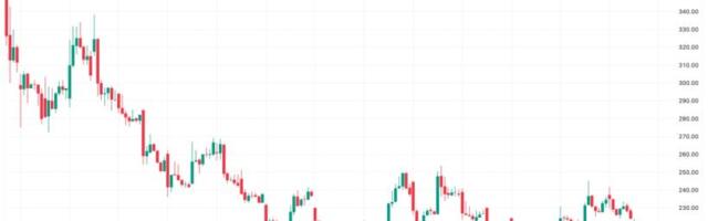 AI chipmaker Cerebras down 11% after first public earnings report