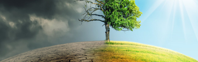 The race to net-zero is on — but no one wins if we take shortcuts