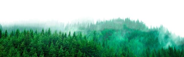 For all the ESG talk, just 7% of startups have an actual net zero plan