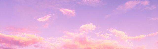 The Science of Stress Regulation in Business