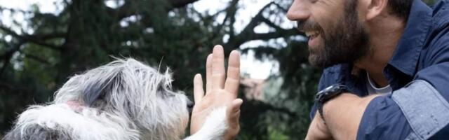 In a sea of slop and risks, AI is helping distraught humans find their lost pets