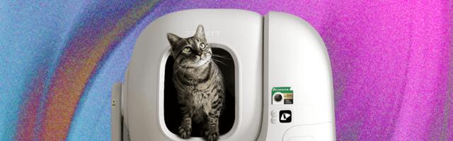 The 7 Best Automatic Litter Boxes (2025) Our Cats Would Recommend