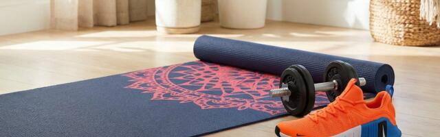 I'm a fitness writer, and these are my 16 essential home workout solutions, including the cheap way I built muscle and the massage gun I use every day