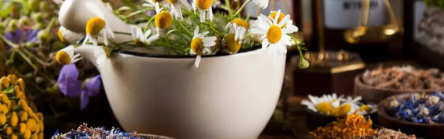 Комбинация важнее дозы: противовоспалительные свойства растительных соединений