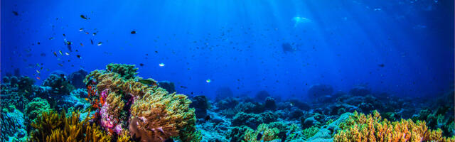 Ocean 14 Capital adds £26.6m to ‘blue economy’ impact fund