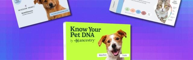 Save up to $60 on a pet DNA kit during the final hours of Amazon Pet Day