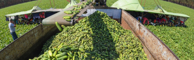 LendSecured: Funding the Underfunded – How To Keep Small-Scale Farms in Business